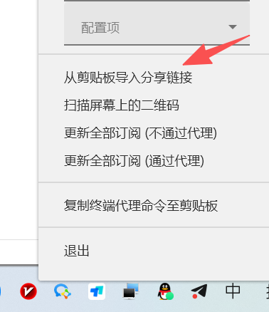 图片[11]-【电脑端】V2rayN入门-使用教程-游点逗网络