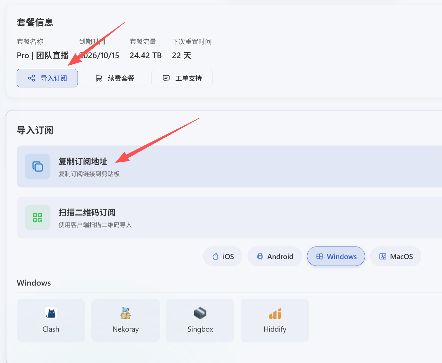图片[12]-【电脑端】V2rayN入门-使用教程-游点逗网络