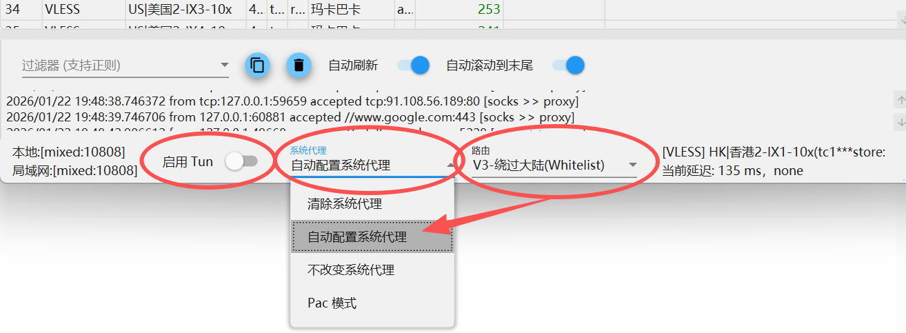 图片[20]-【电脑端】V2rayN入门-使用教程-游点逗网络