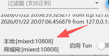 图片[23]-【电脑端】V2rayN入门-使用教程-游点逗网络